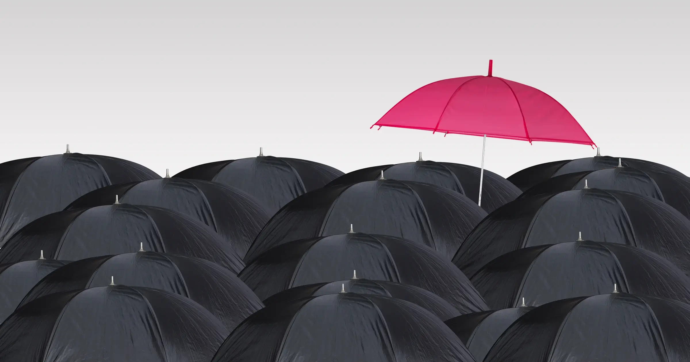 A pink umbrella stands out against many black ones