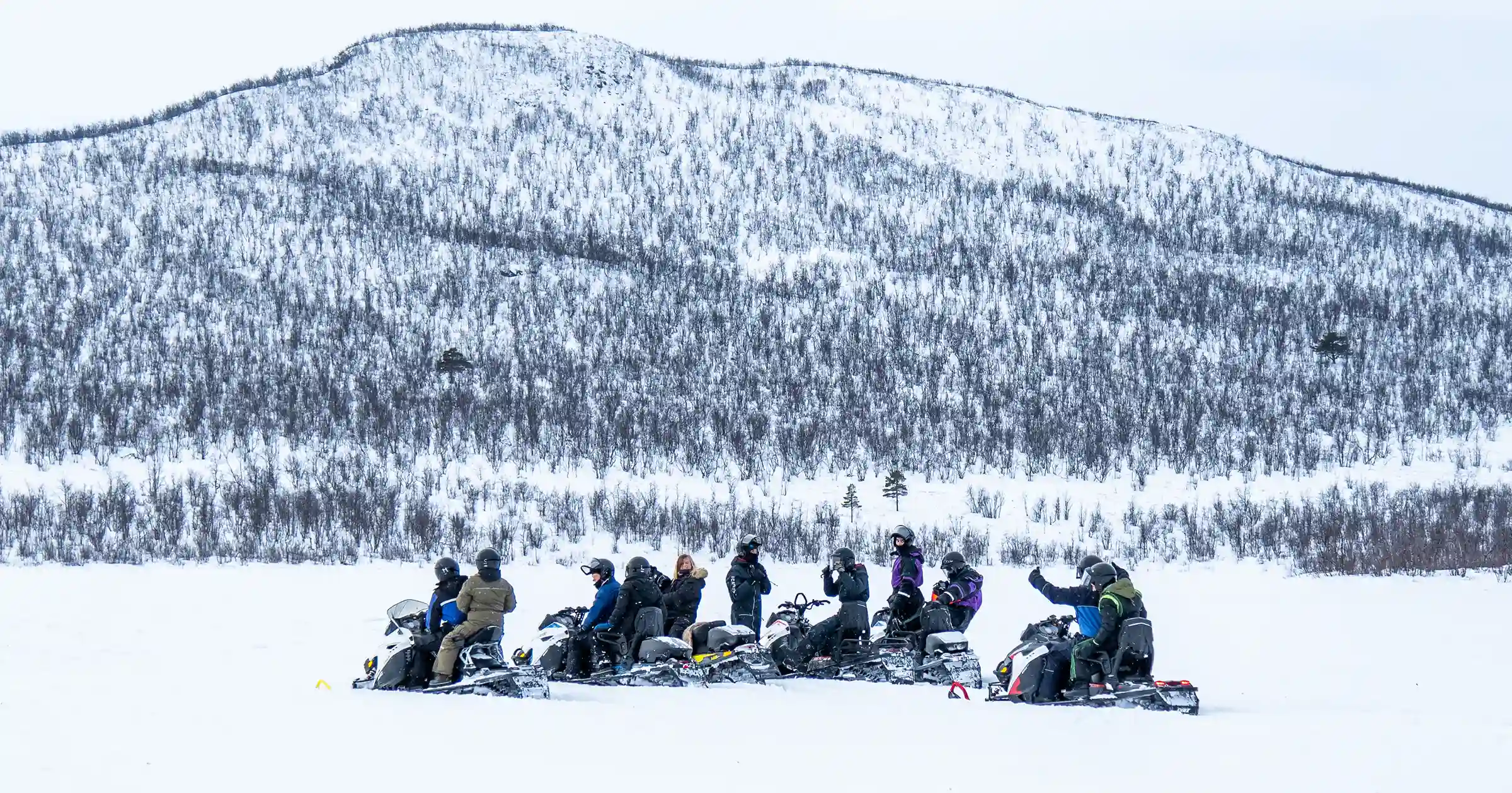 Group of people using snowmobiles