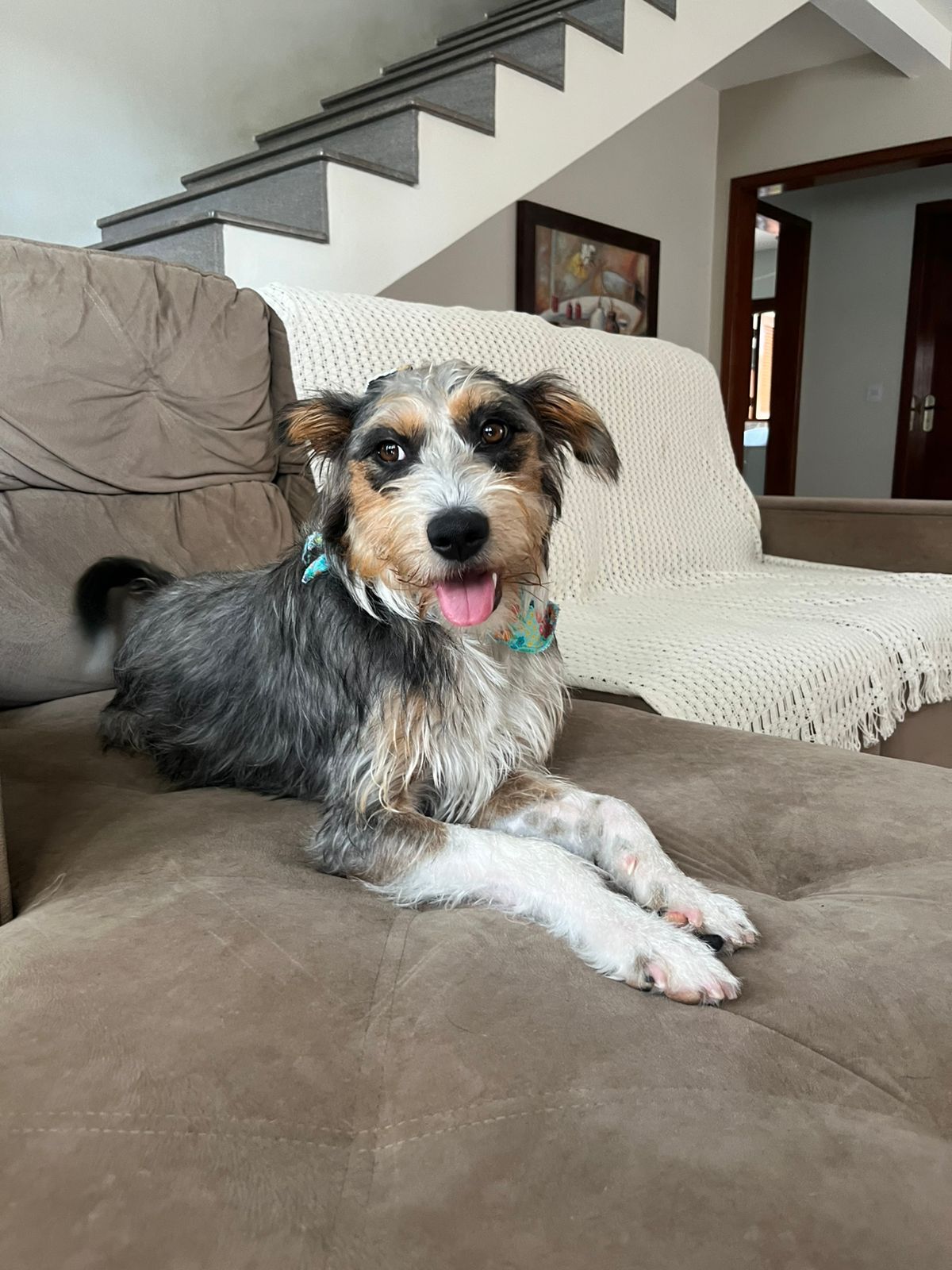 Penélope