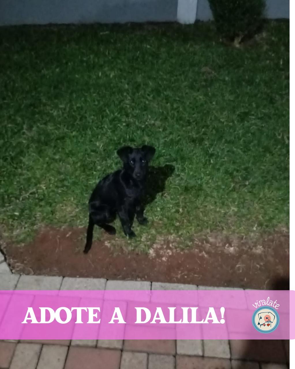 Foto adicional