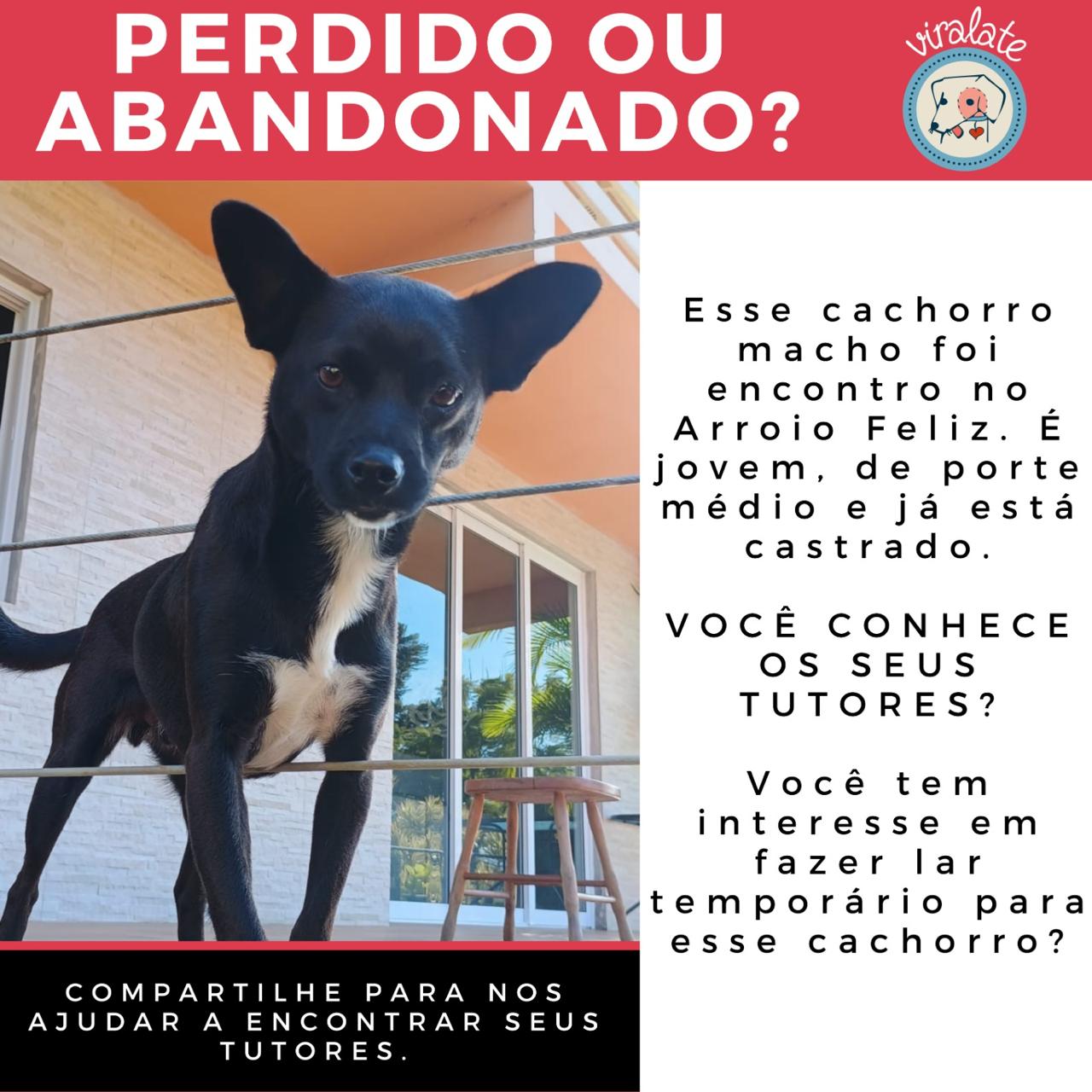 Foto adicional