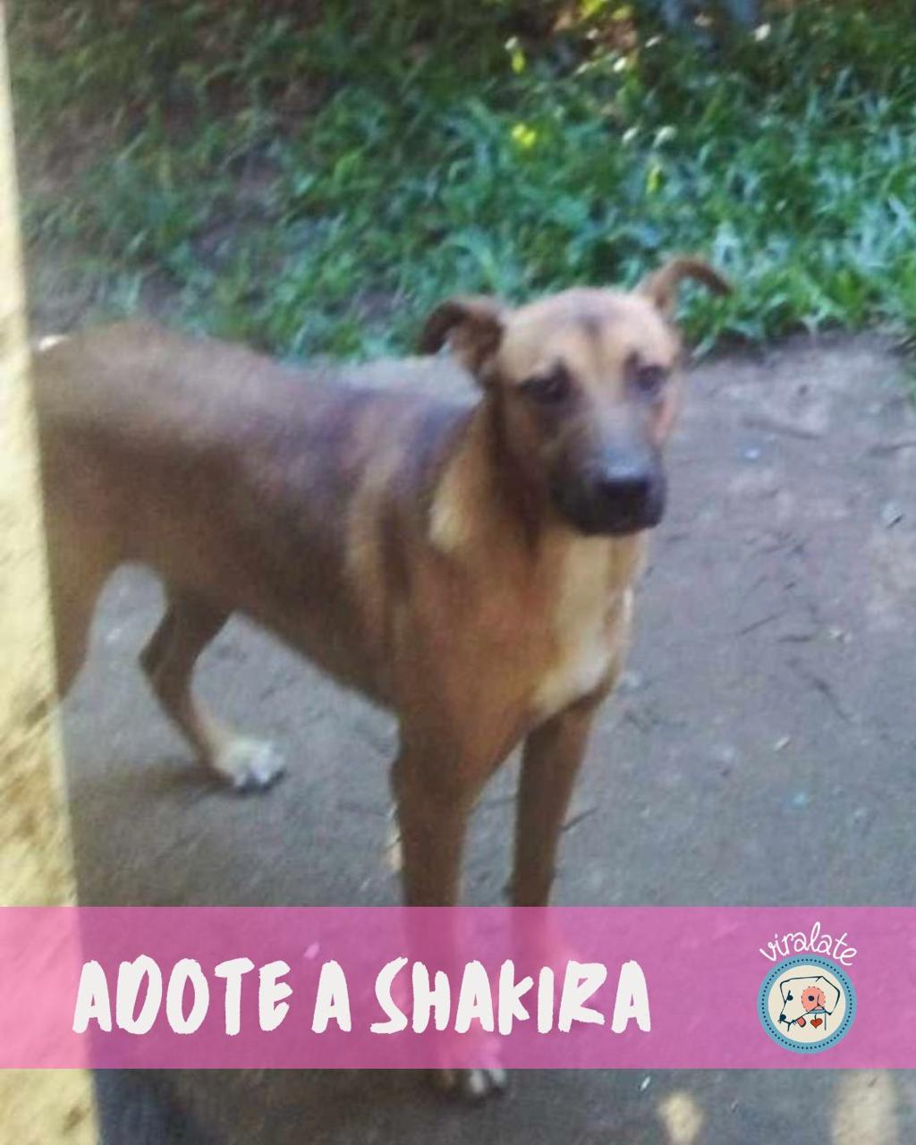 Foto adicional