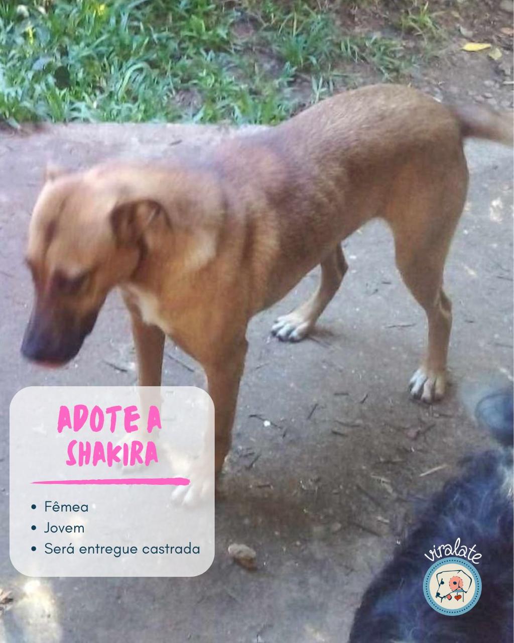 Foto adicional