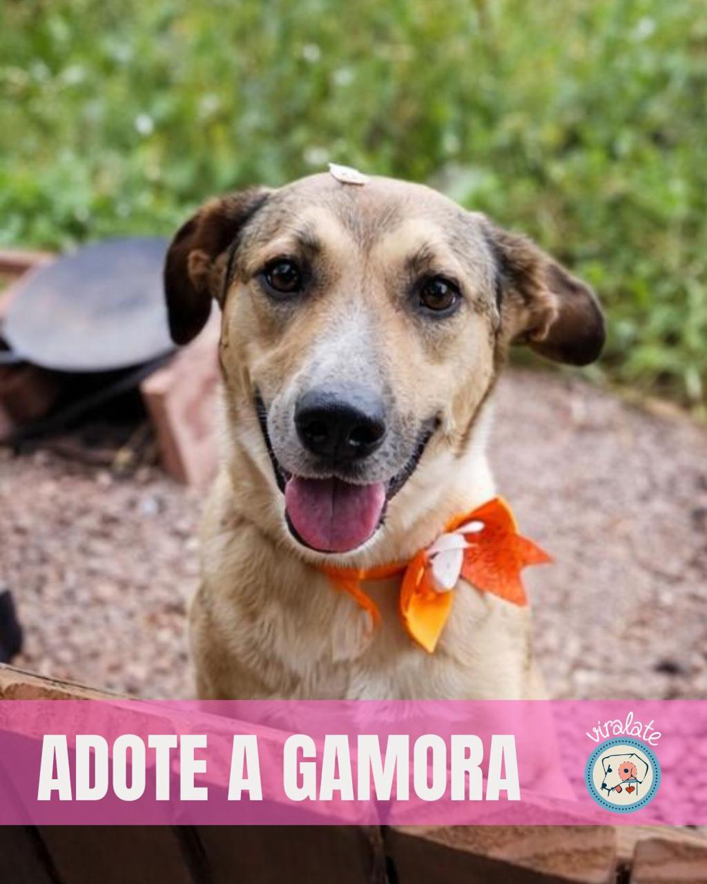 Foto adicional