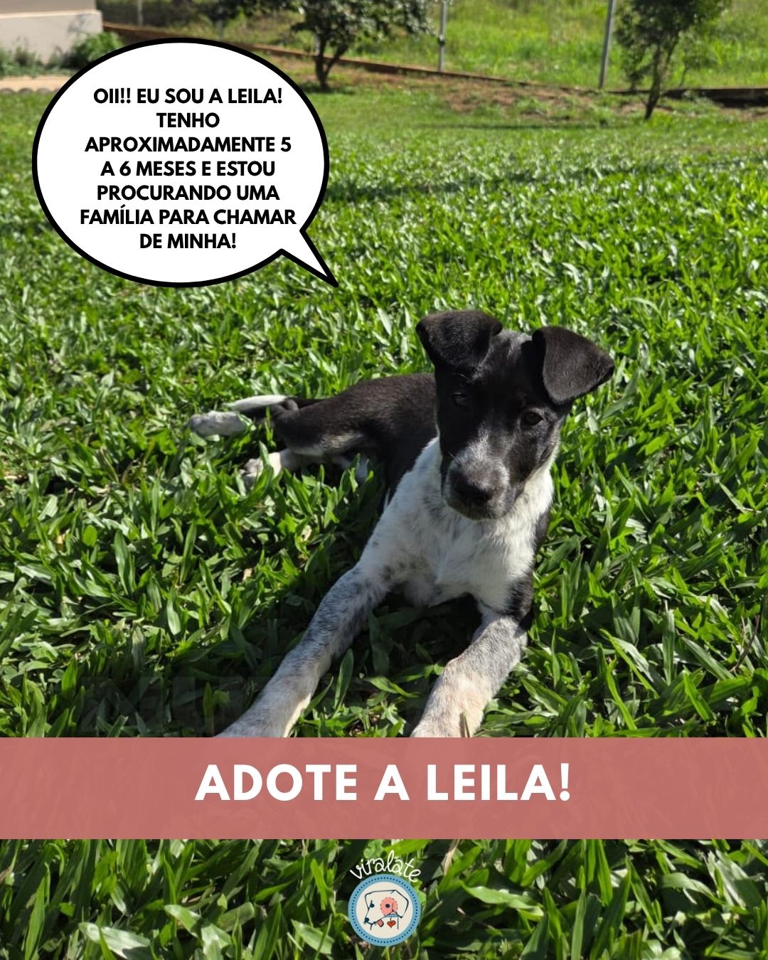 Foto adicional