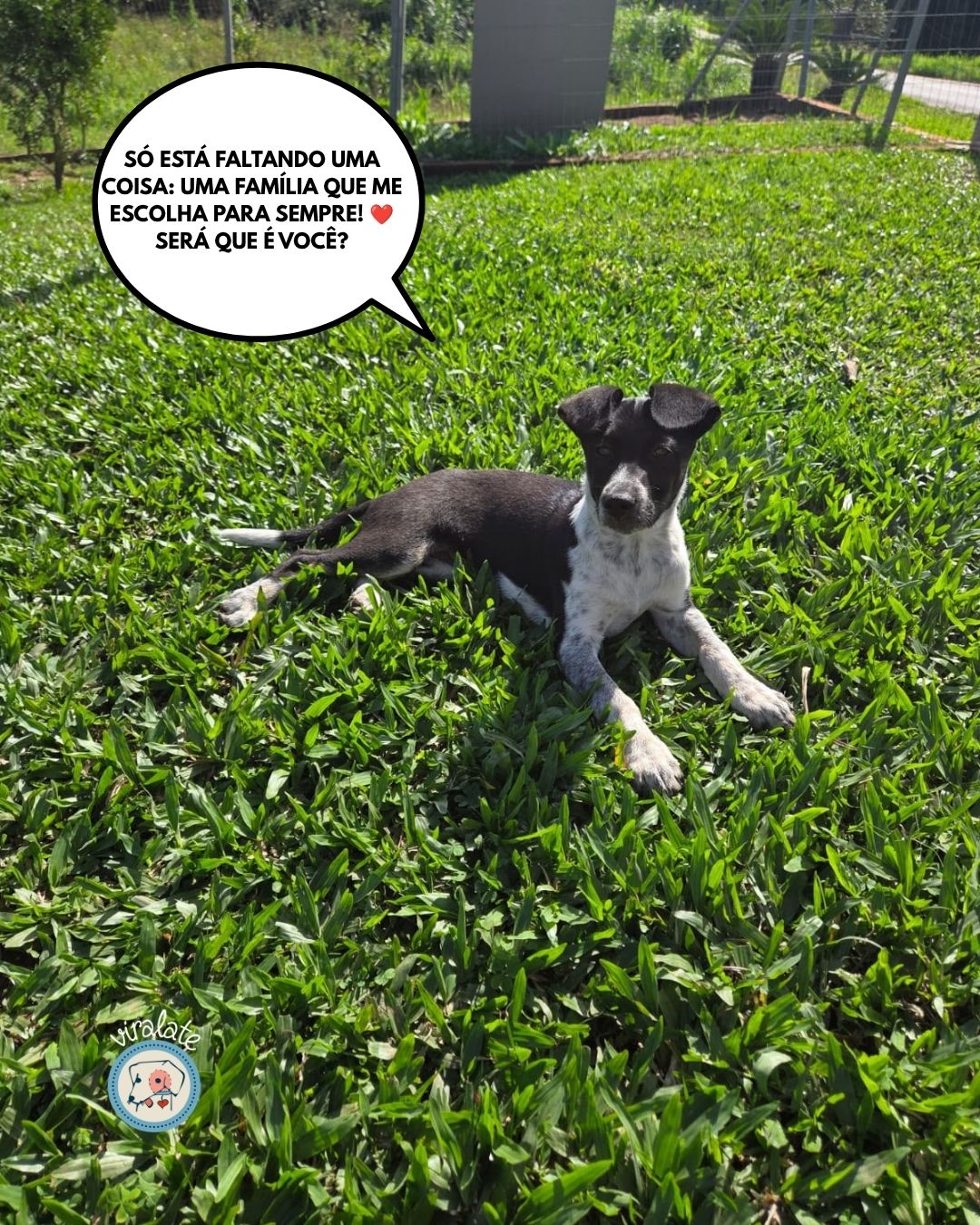 Foto adicional