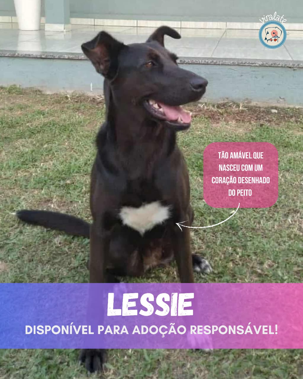Foto adicional