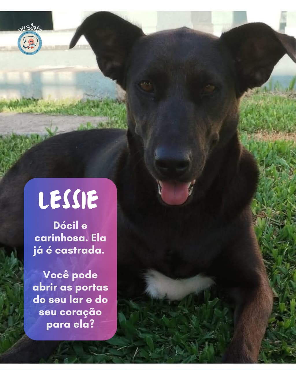 Foto adicional