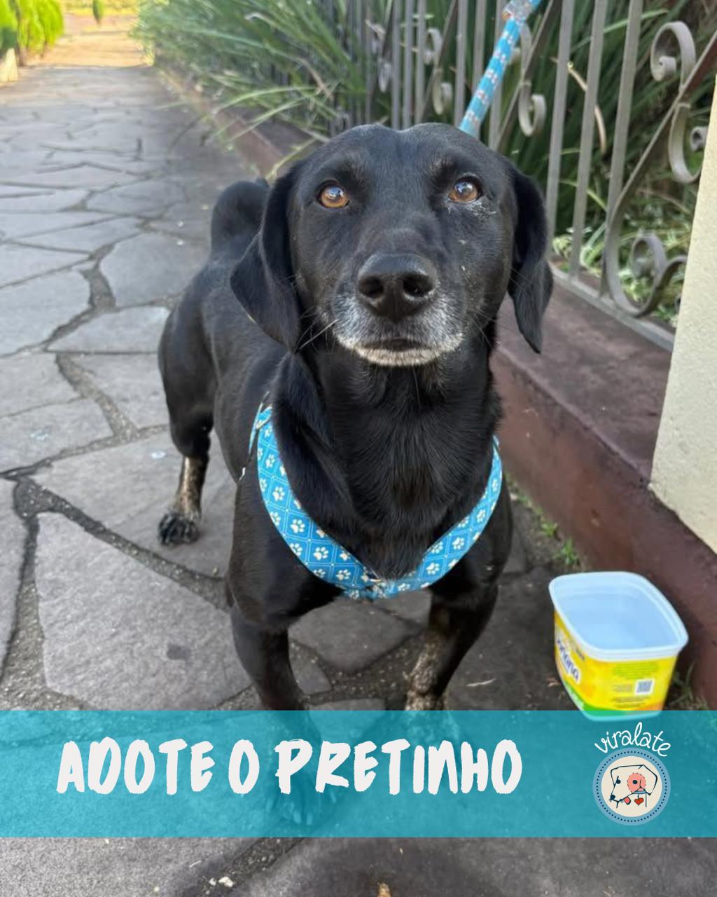 Foto adicional