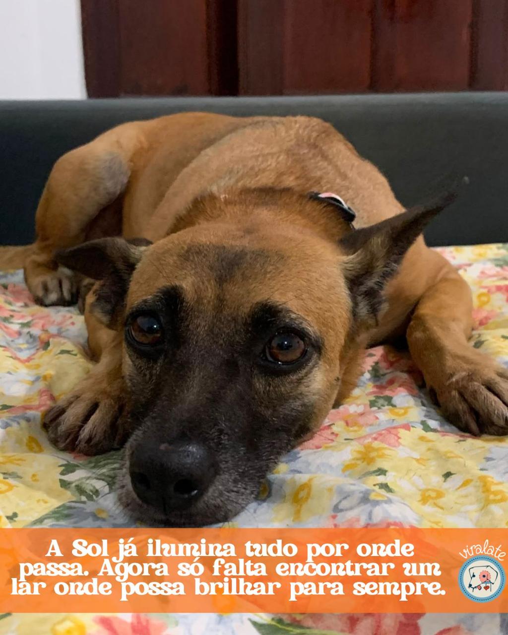 Foto adicional