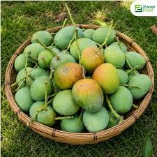 আশ্বিনা (সিজনের শেষ ধামাকা)