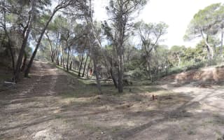 Parcela en venta en Urbanización Finca Terol miniatura 3
