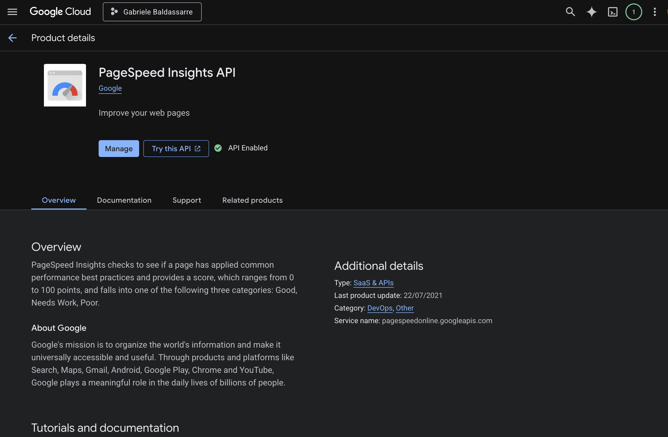 Pagina per abilitare le API di PageSpeed Insights