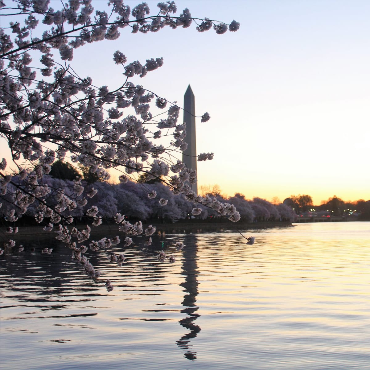 Washington DC monuments under a clear, bright sky.