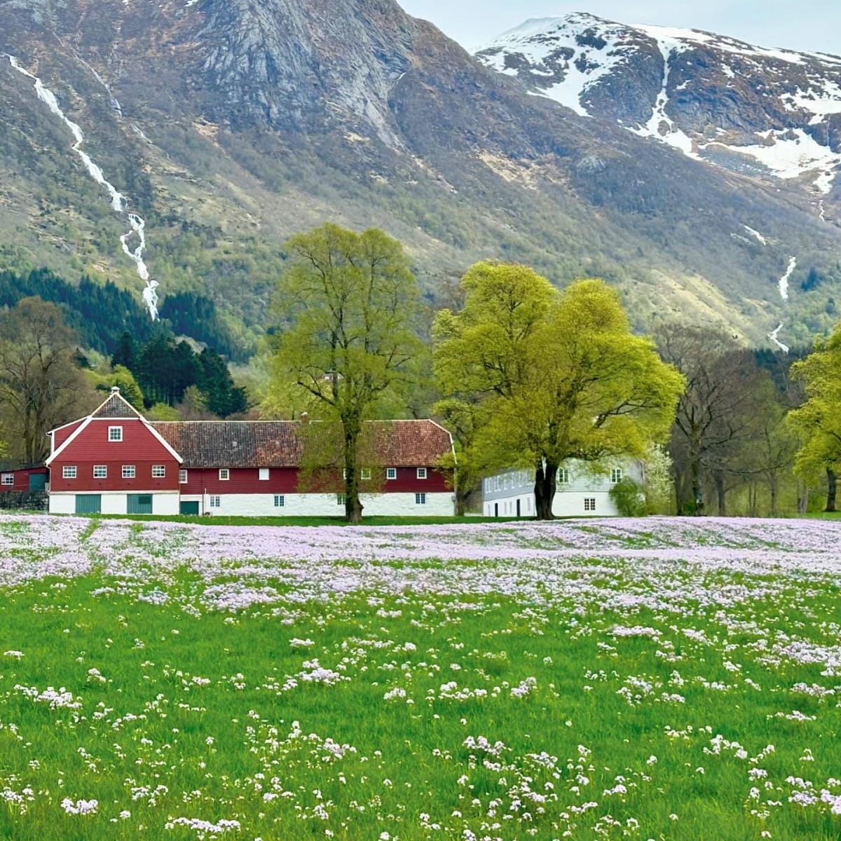 The barony grounds - a true fairytale