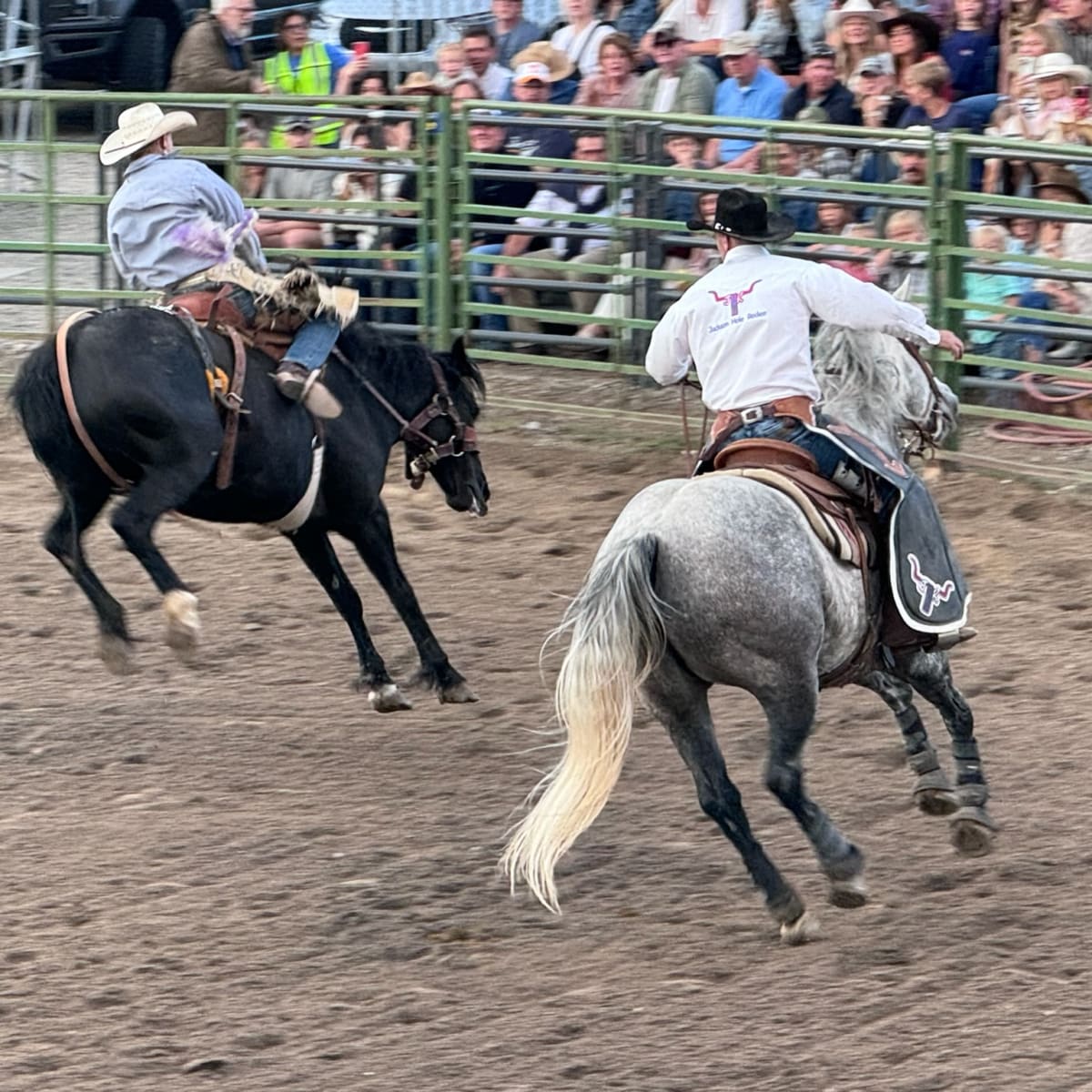 More Rodeo