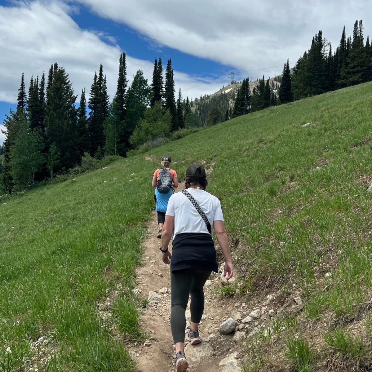 Wildflower Hike