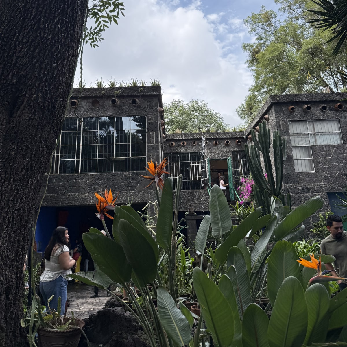 Frida Kahlo Museum
