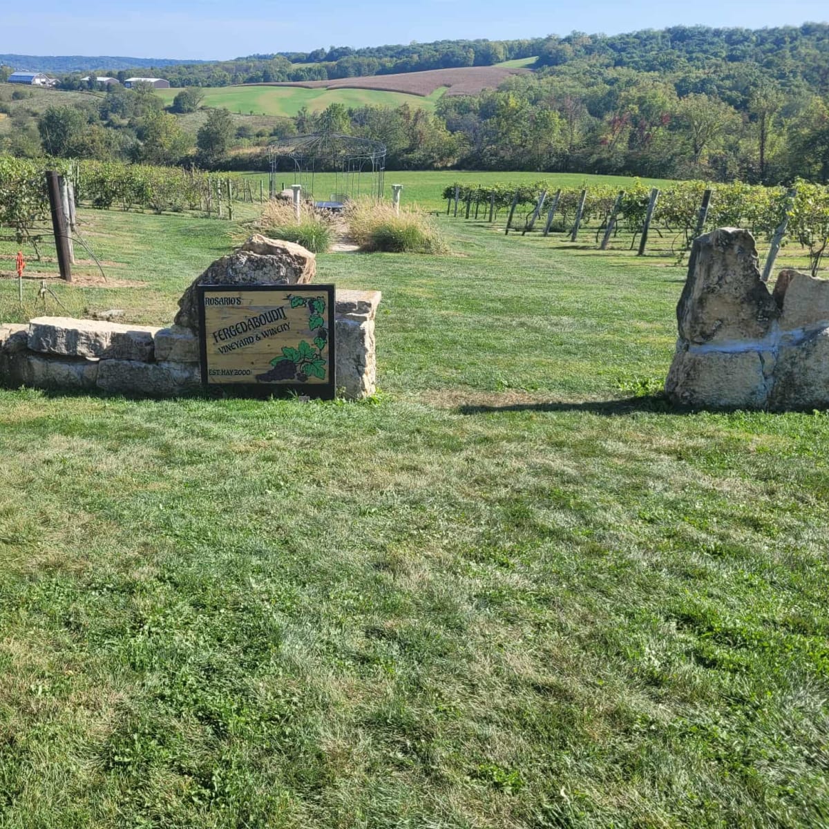 Vineyard