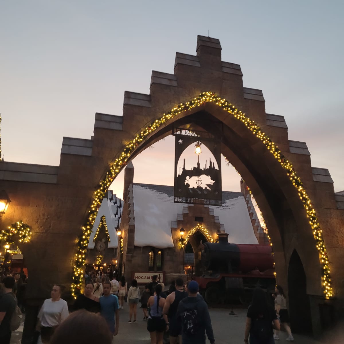 The Wizarding World of Harry Potter in Xmas Lighjts.