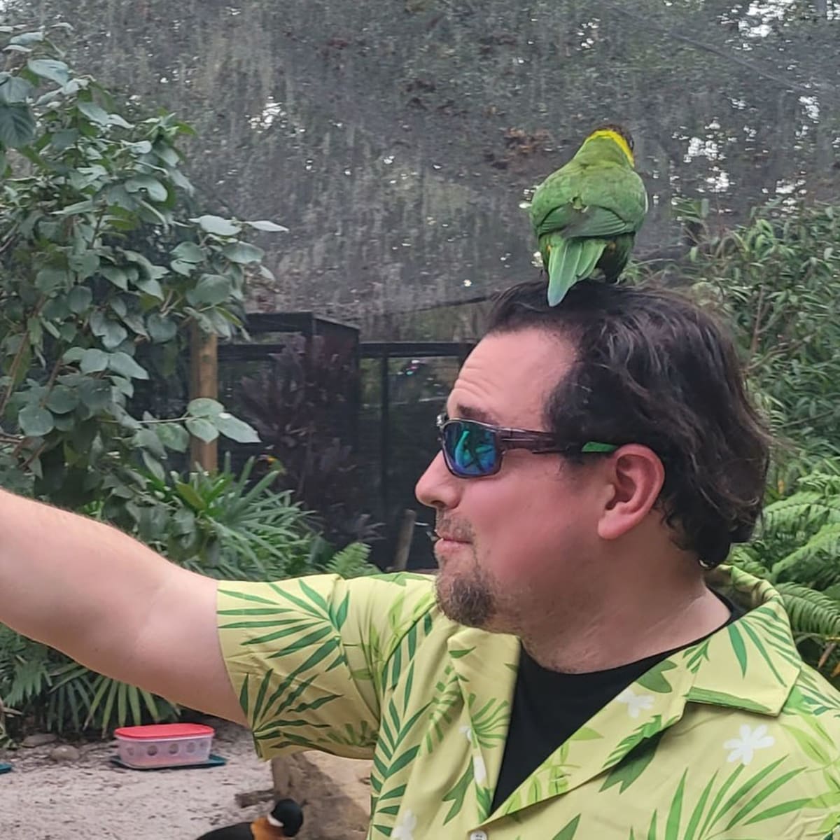 Bird, Bird, Bird... the Bird is the Word...