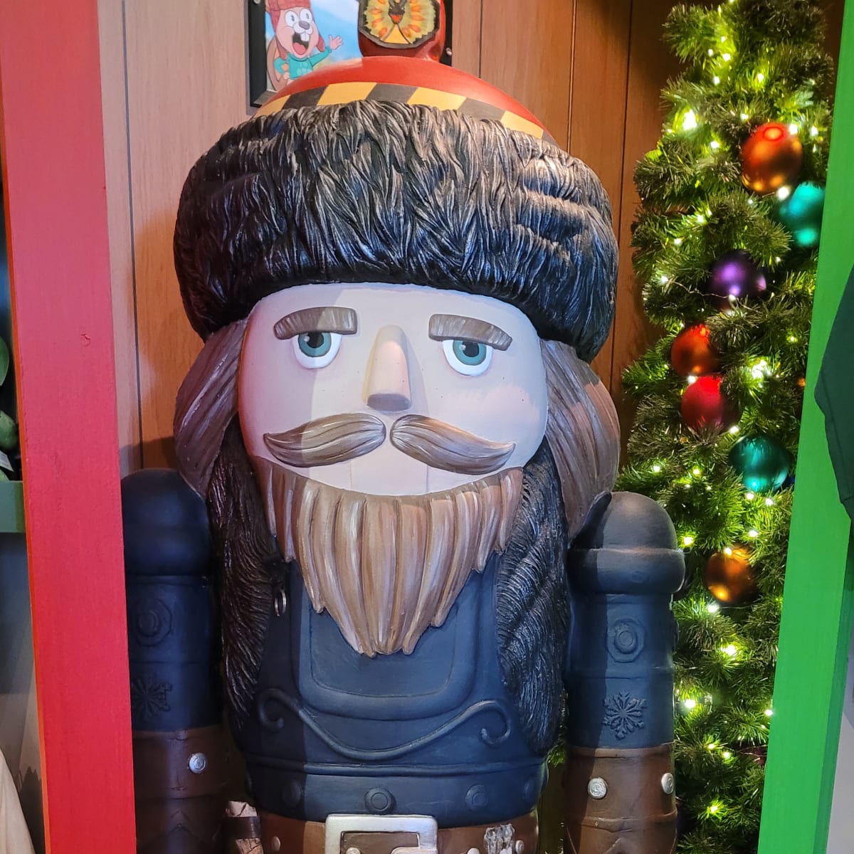 Eastern Nutcracker in Store