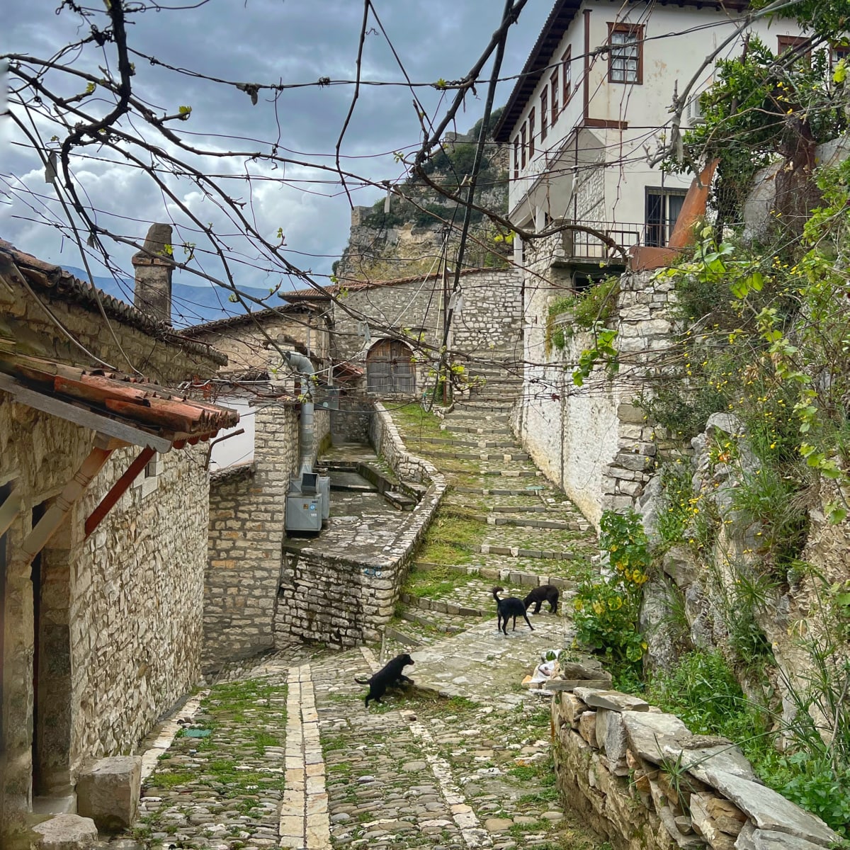 Trip Image