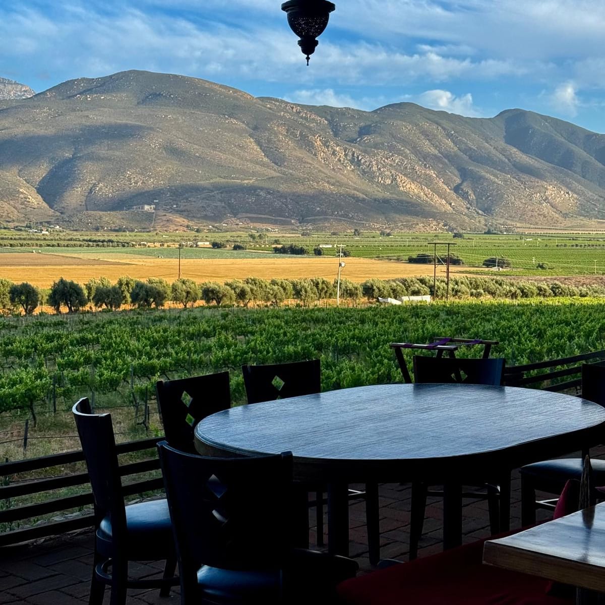 The view from Kous Kous dinner tables