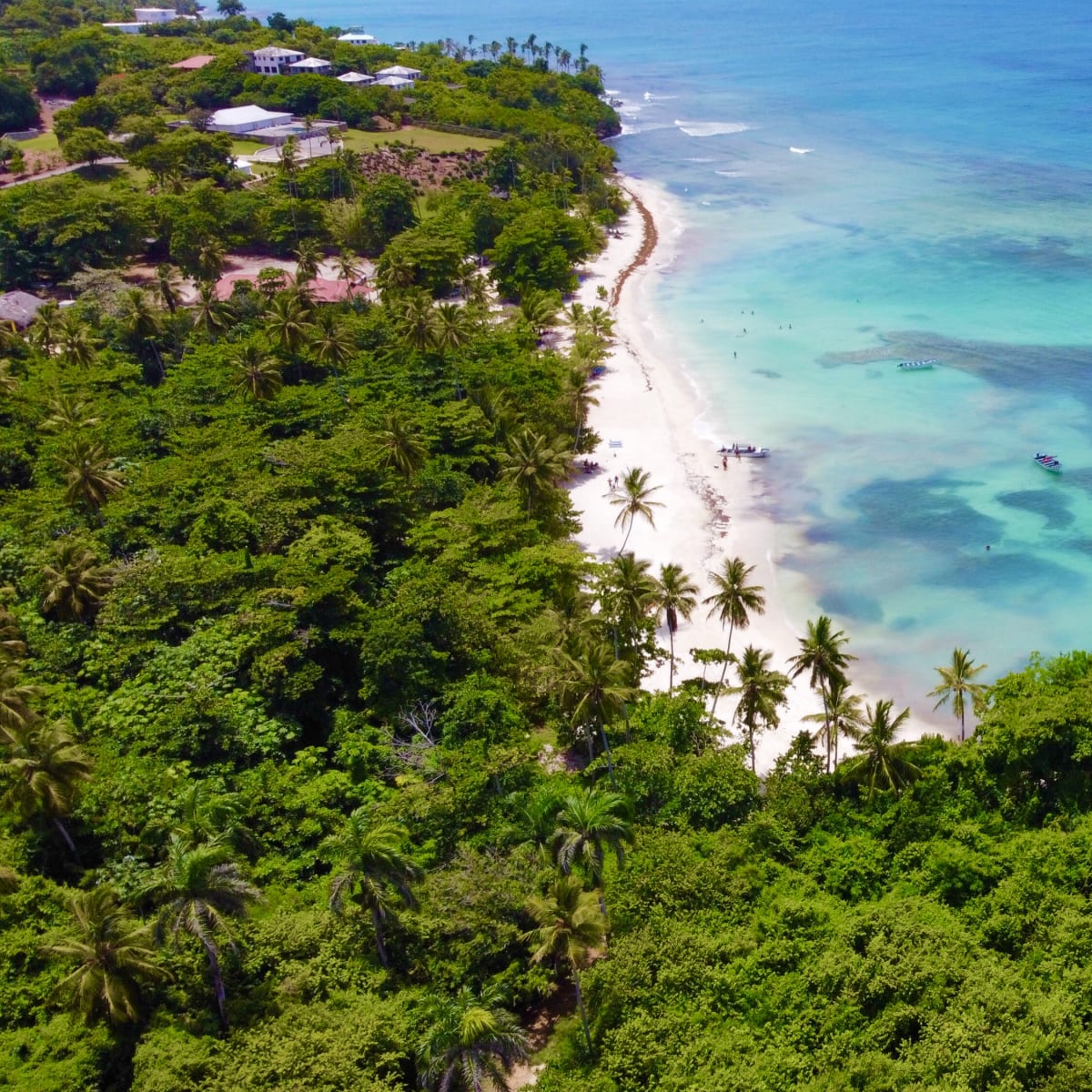 Sunny Samana coastline and gentle ocean waves.