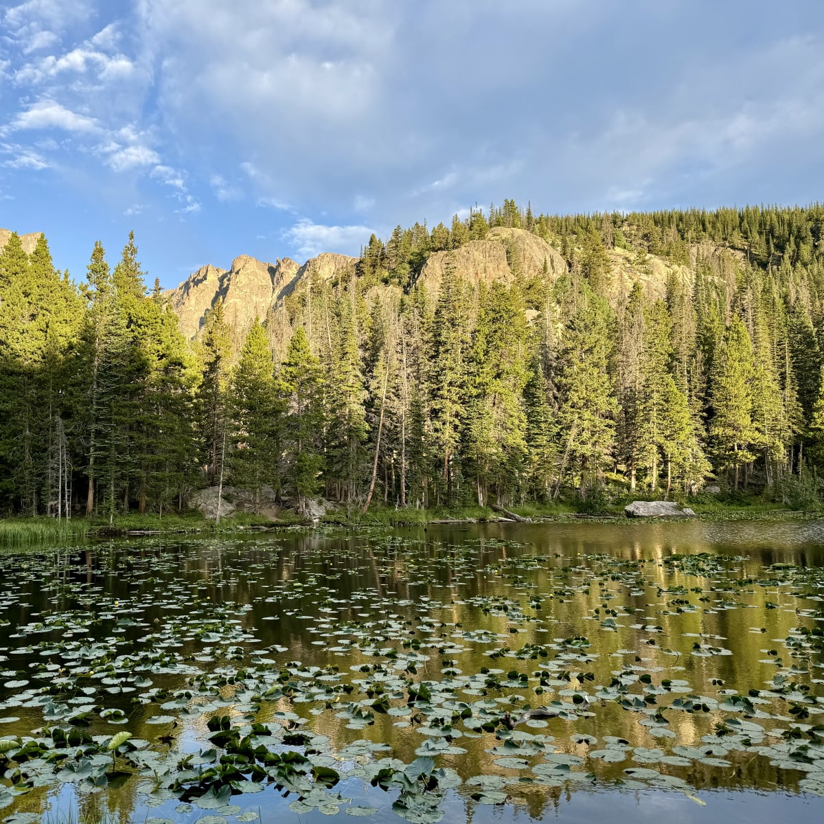 Nymph Lake