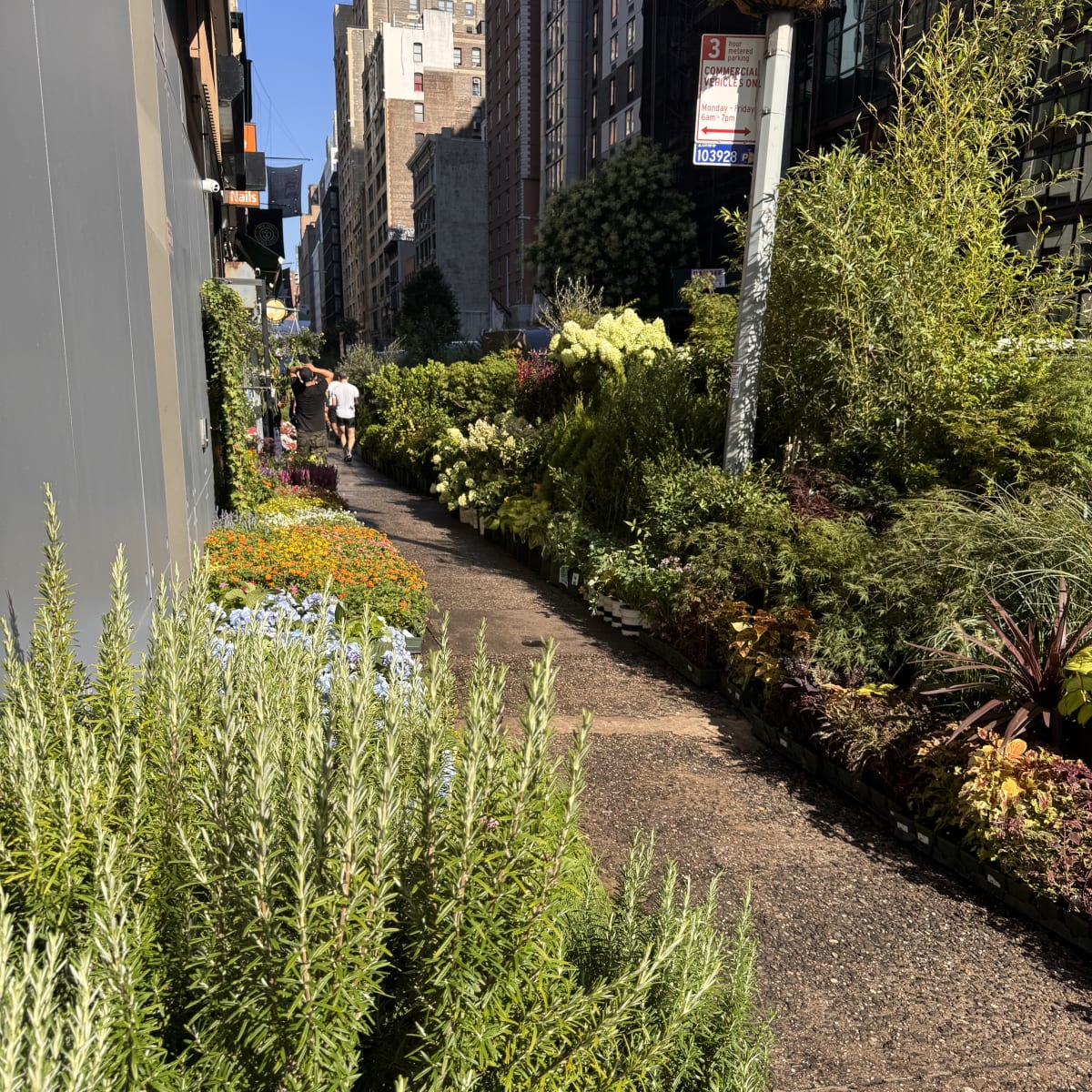 Good smells at the New York Flower Market