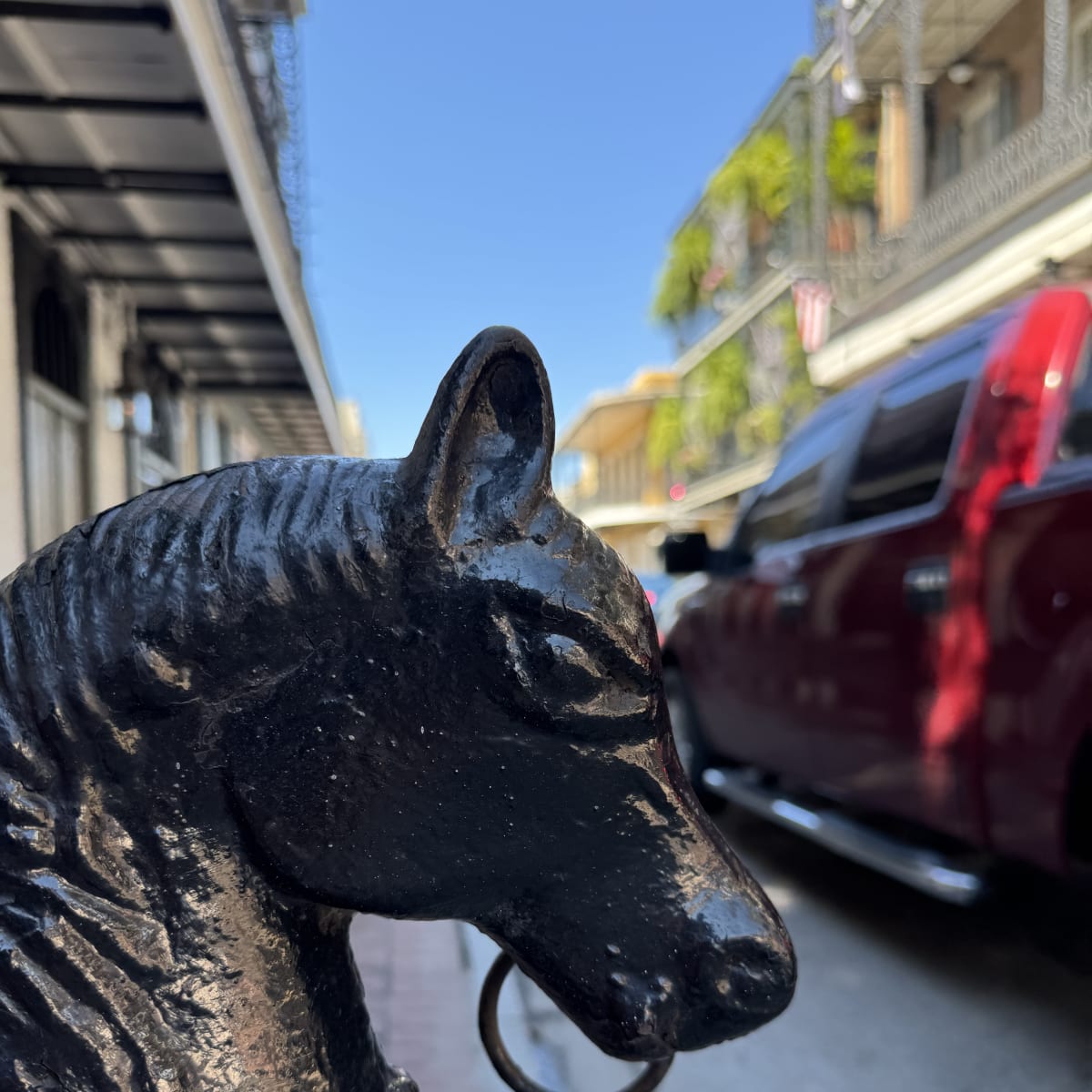 Historic horse tie rings of the French Quarter