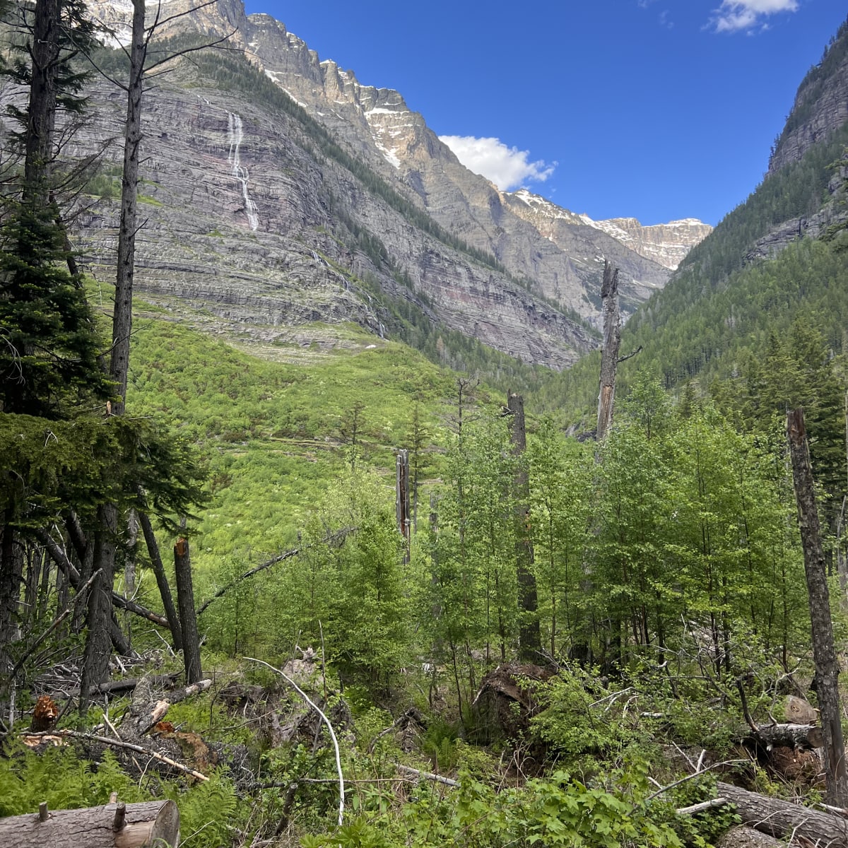 Avalanche Lake Hike