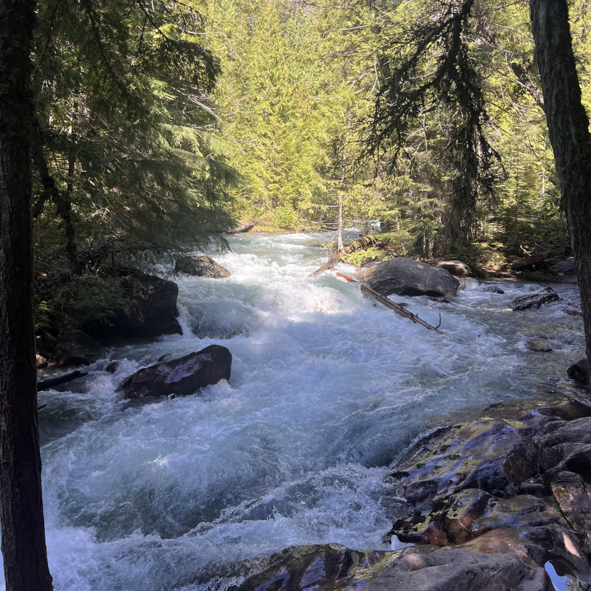 Avalanche Lake!