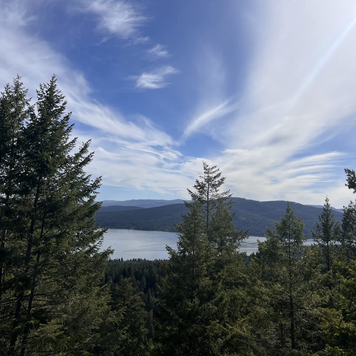 Whitefish Trail overlooking Whitefish Lake