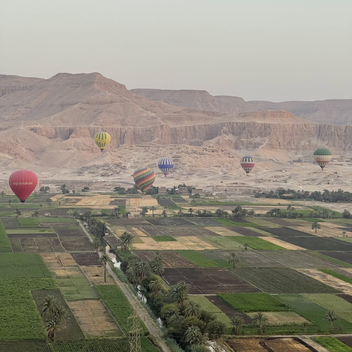 Discover hidden Egyptian gems amid ancient ruins.