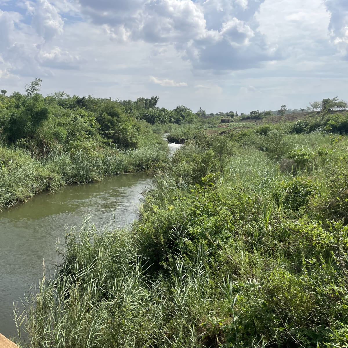 Trip Image