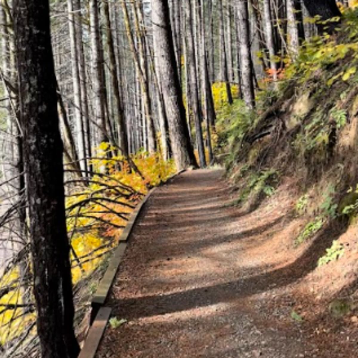 The path to the springs