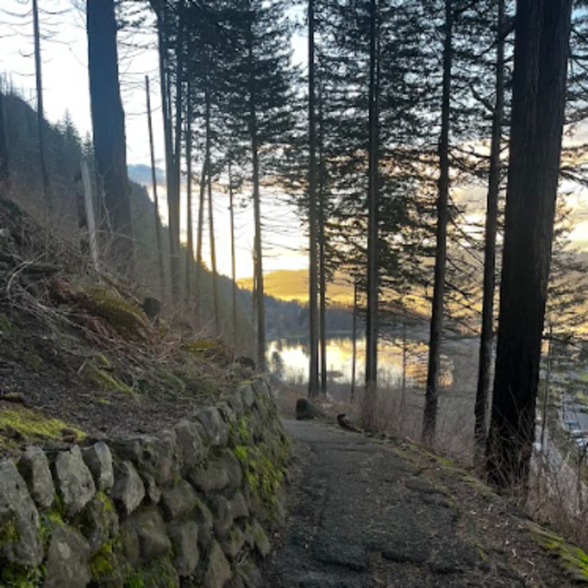 Scenery along the path