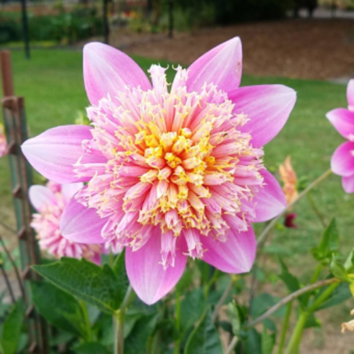 The gardens were absolutely beautiful