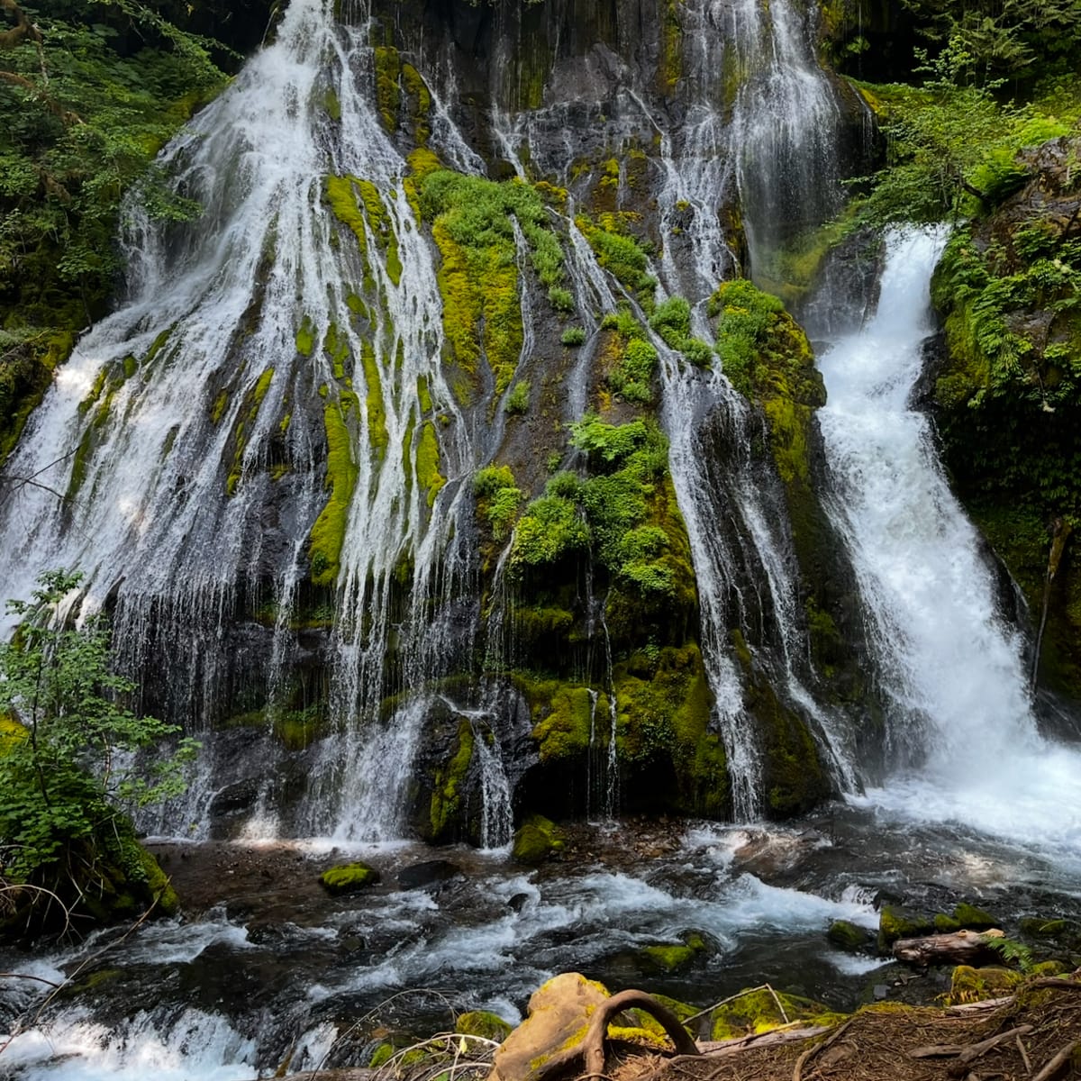 I love the uniqueness of these falls