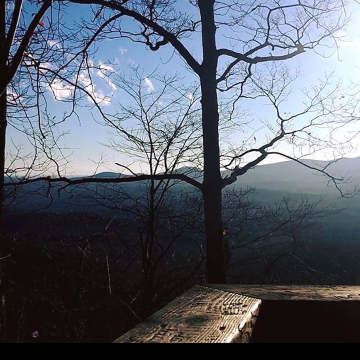 View from the top of Amicalola Falls