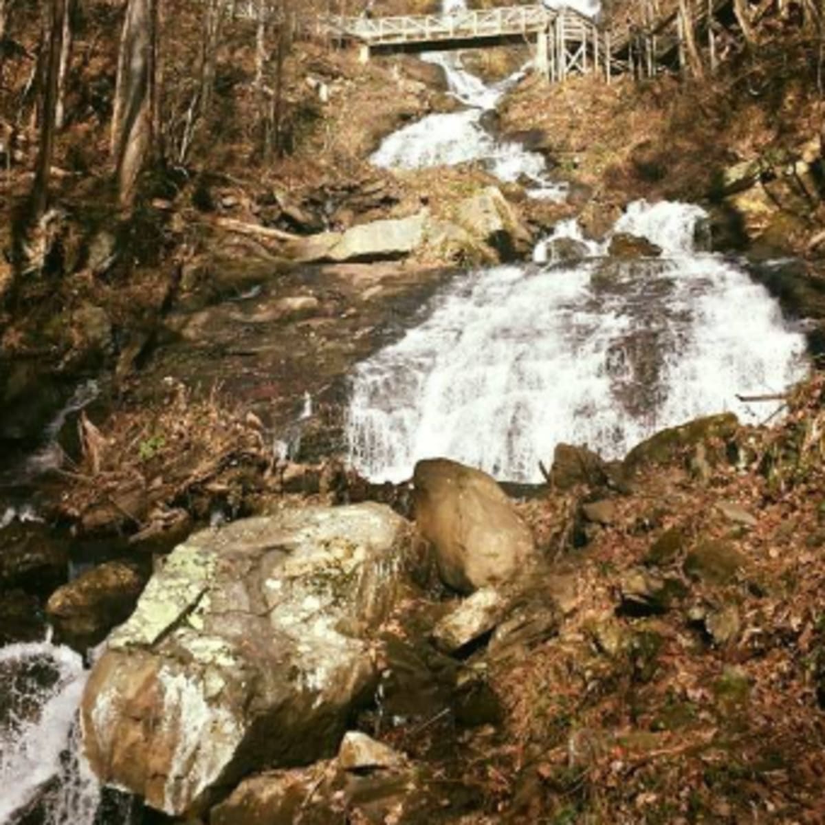 Amicalola Falls!