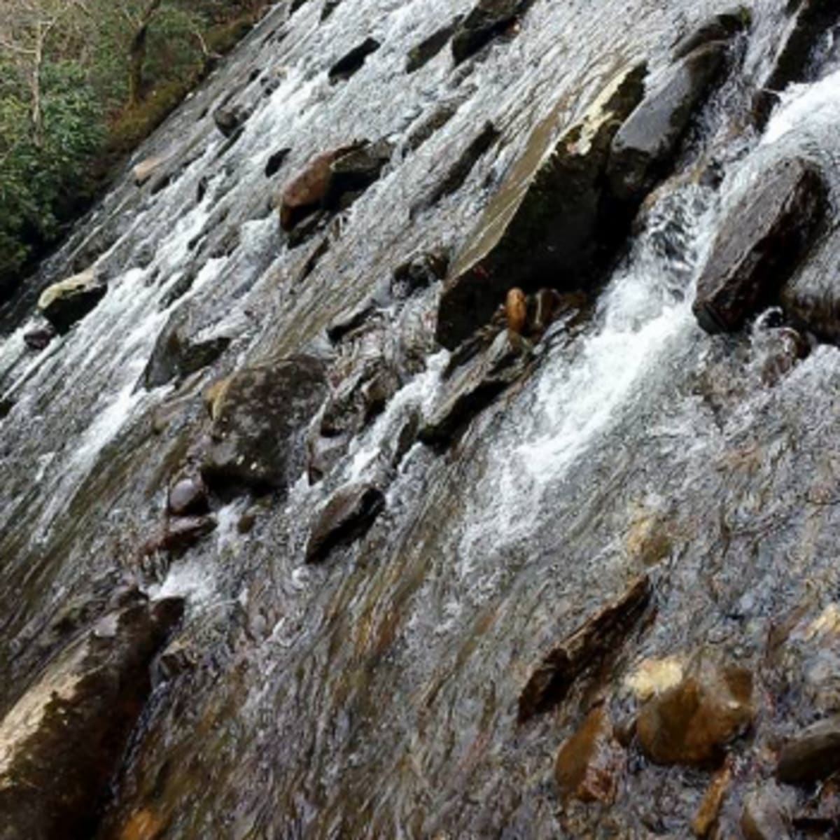 Rivers in the Great Smoky Mountains