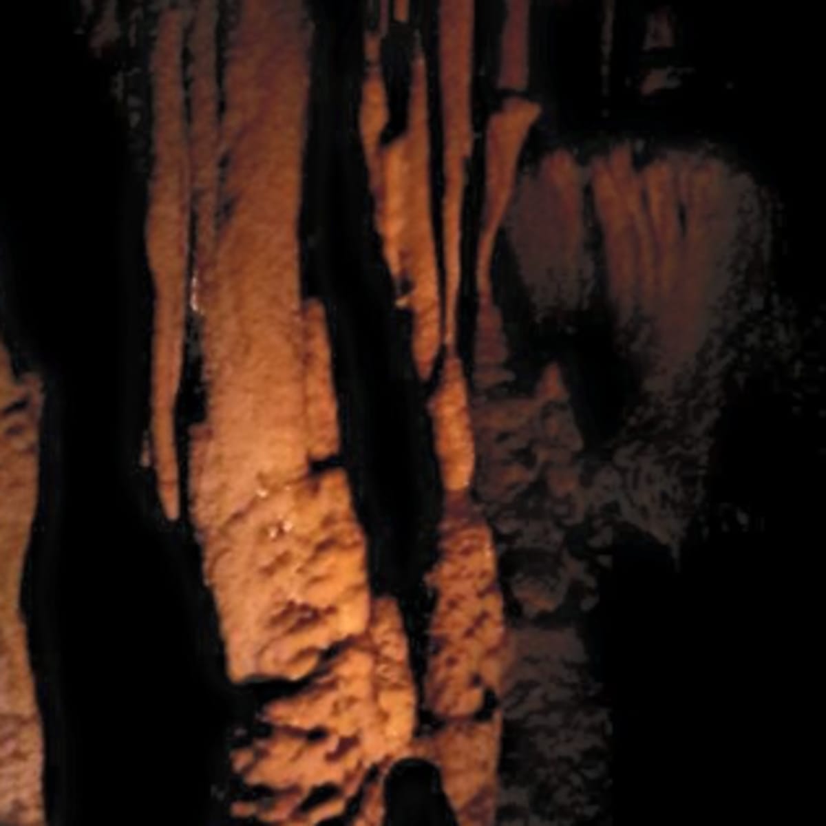 Rock formations in Mammoth Caves!