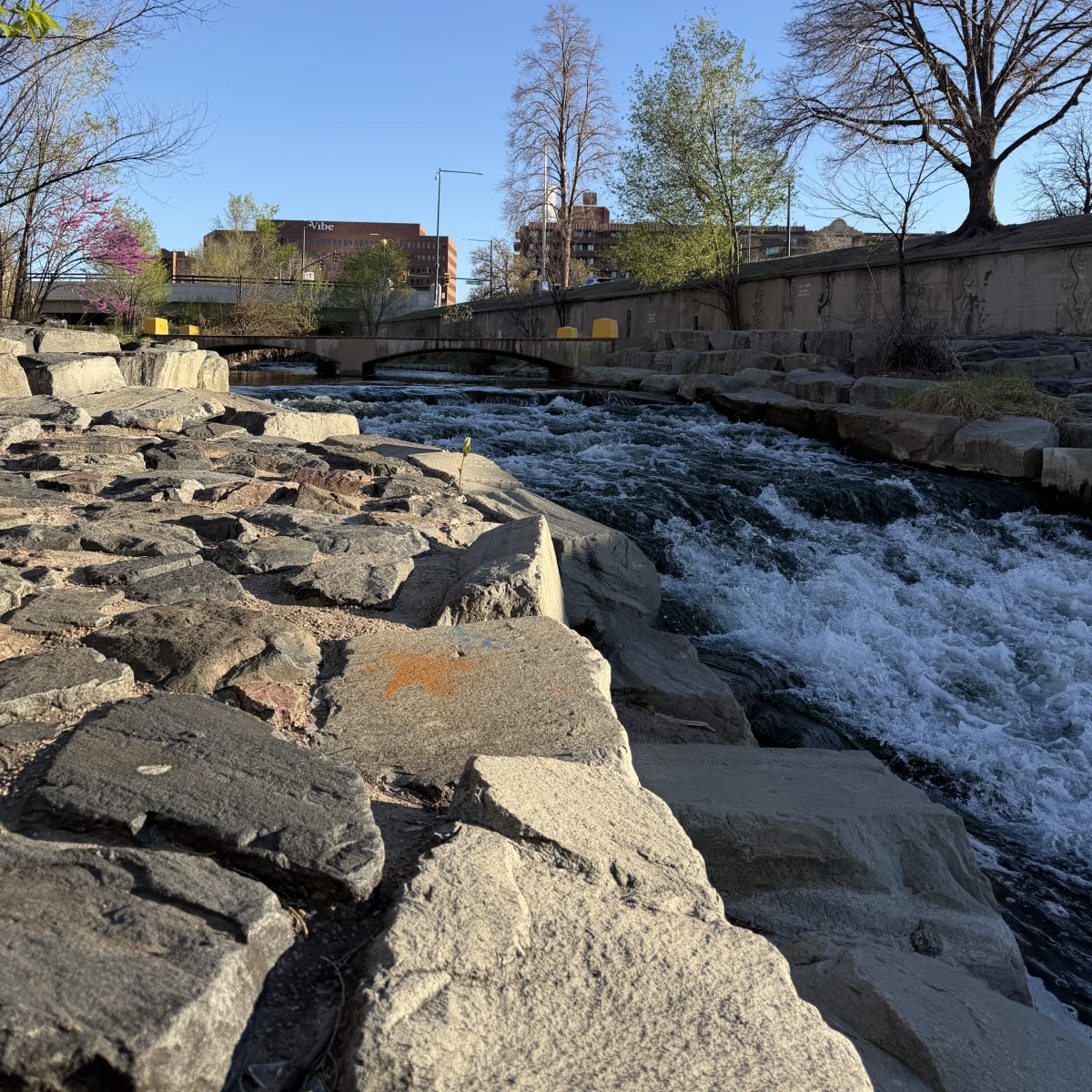 The river along the Cherry Creek Trail