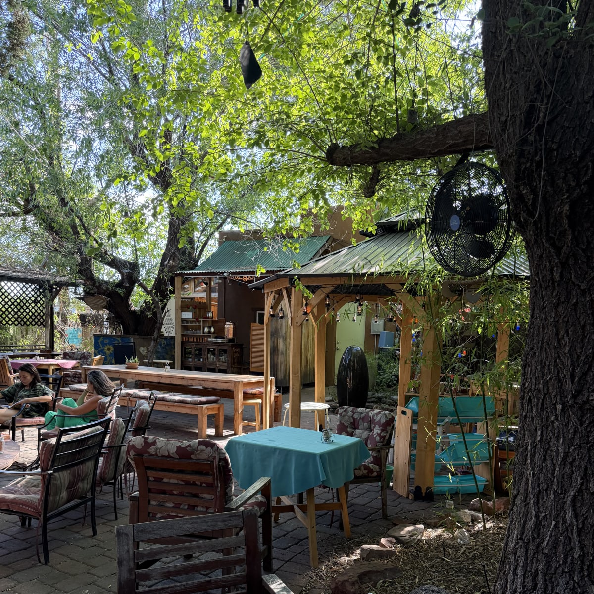 Chocolatree patio/garden