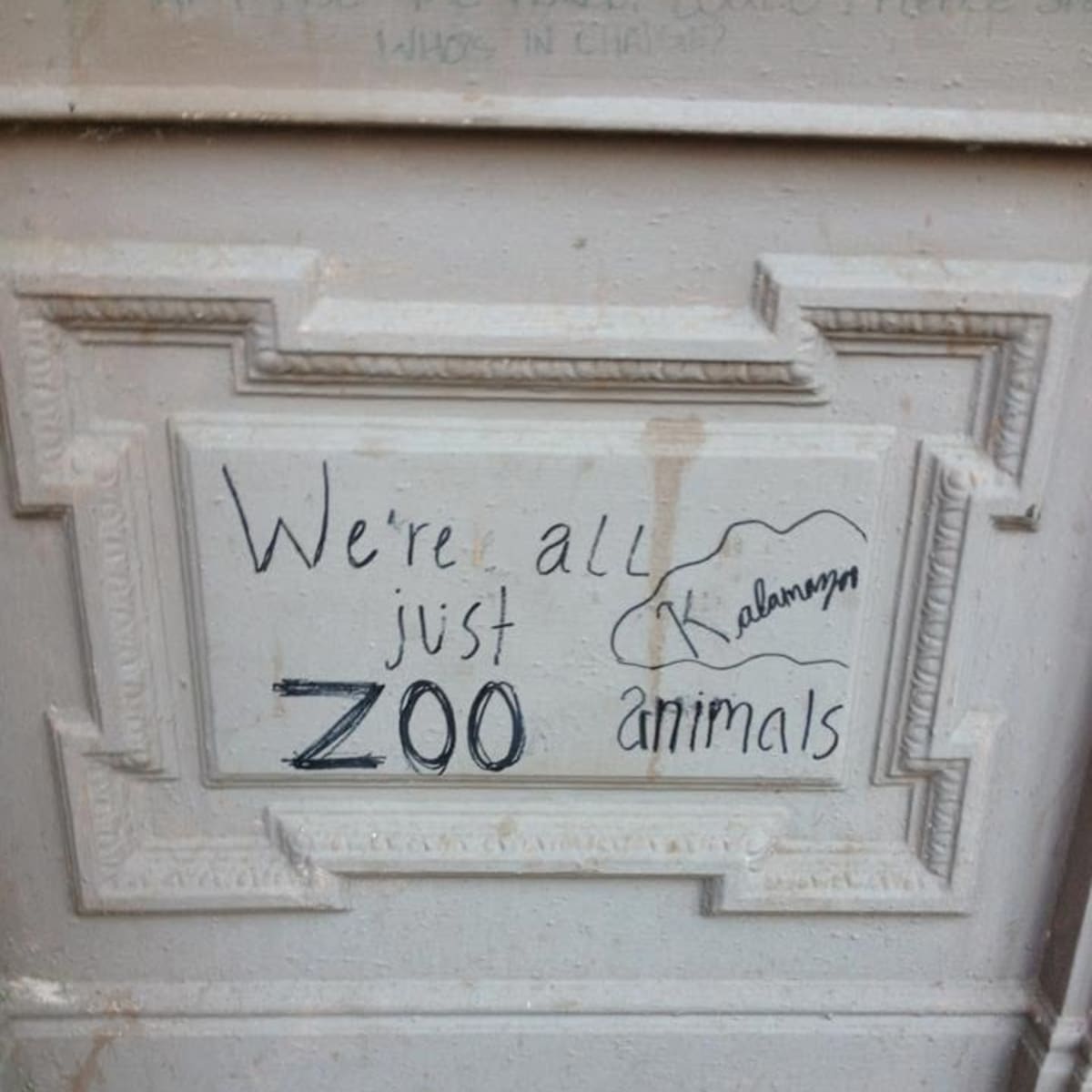 Zoo Animals
