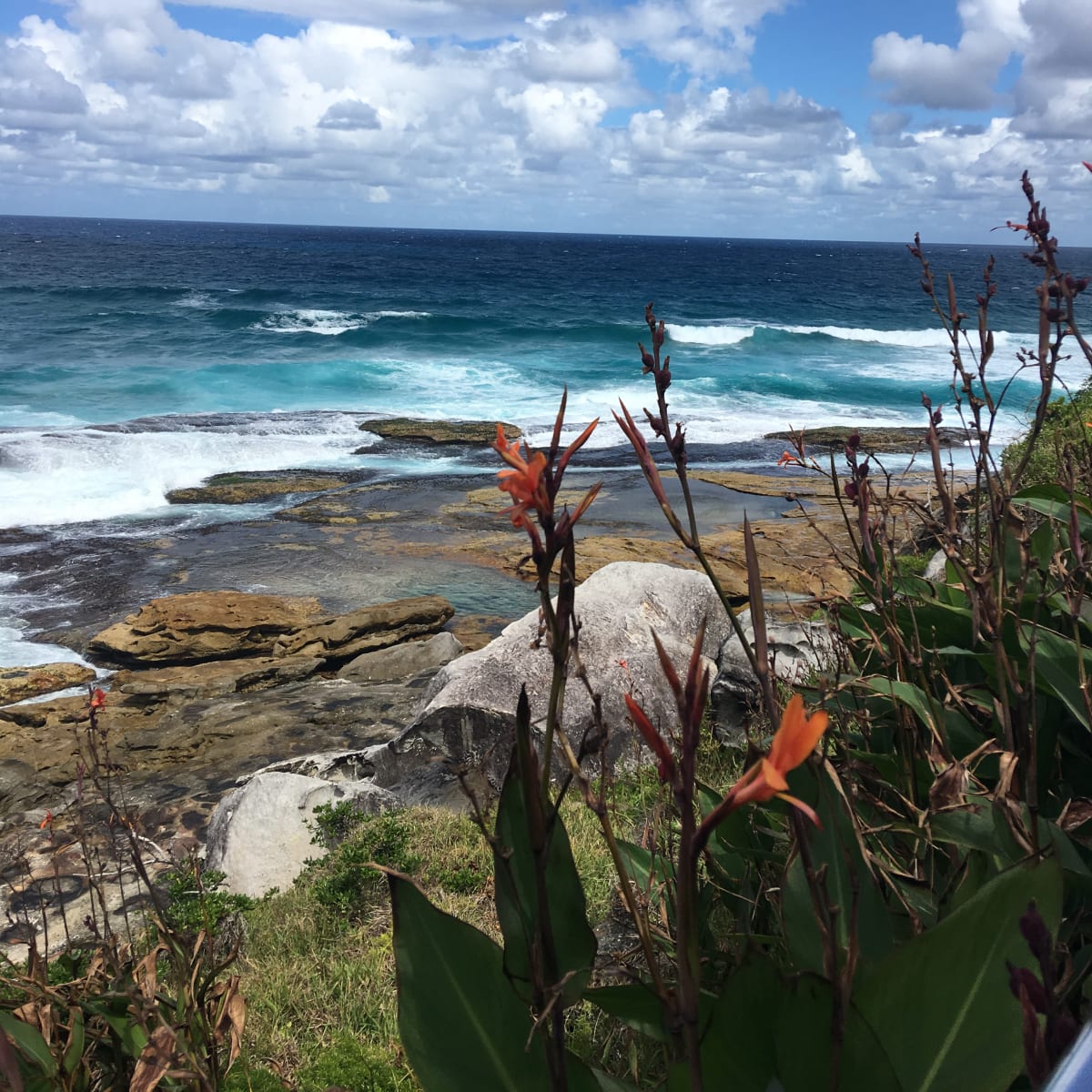Coastline long the Bondi to Bronte Coastal trail