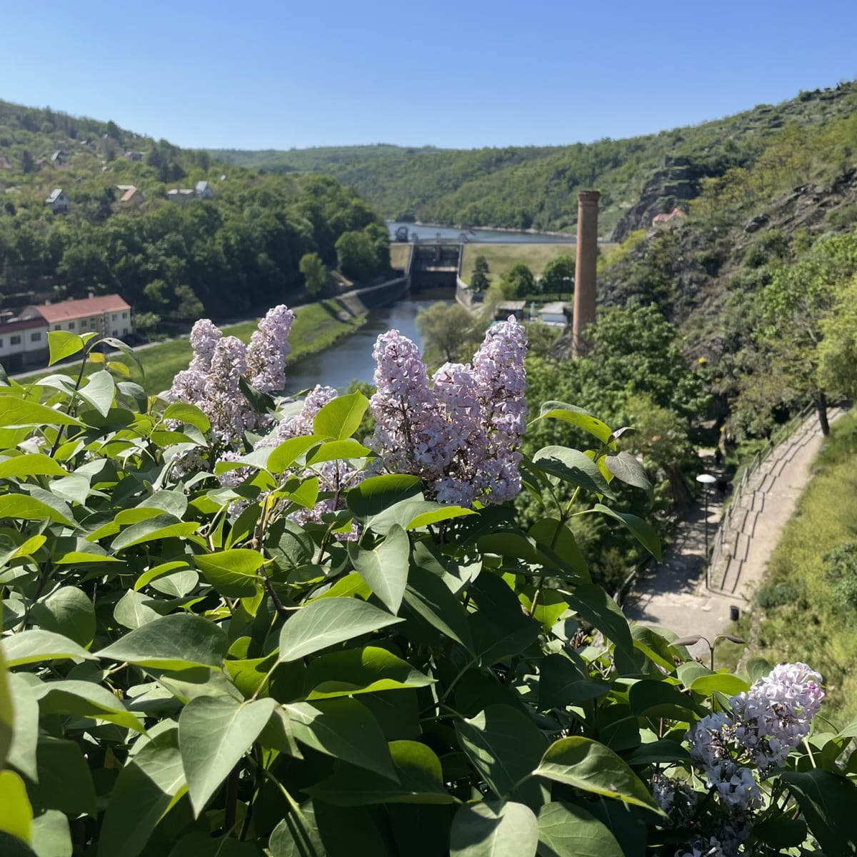 View of the river